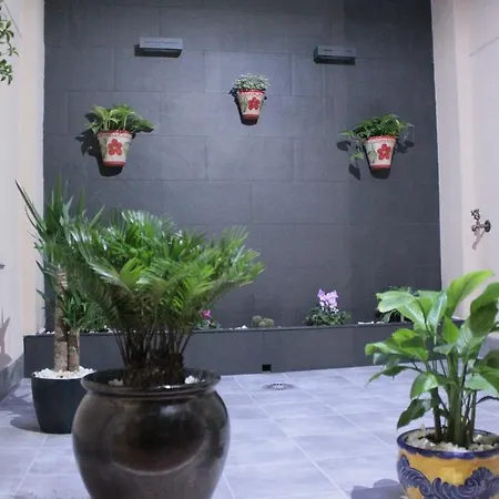 Pensimar 2* El Altet