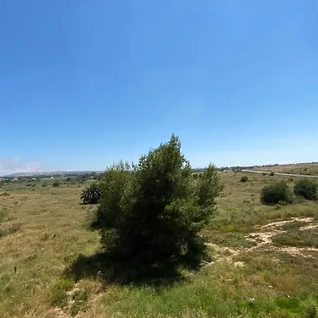 Pensimar 2* El Altet