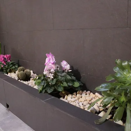 招待所 佩恩西玛尔旅馆